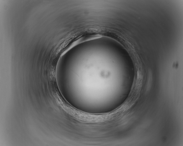 X0000113280048200909211050