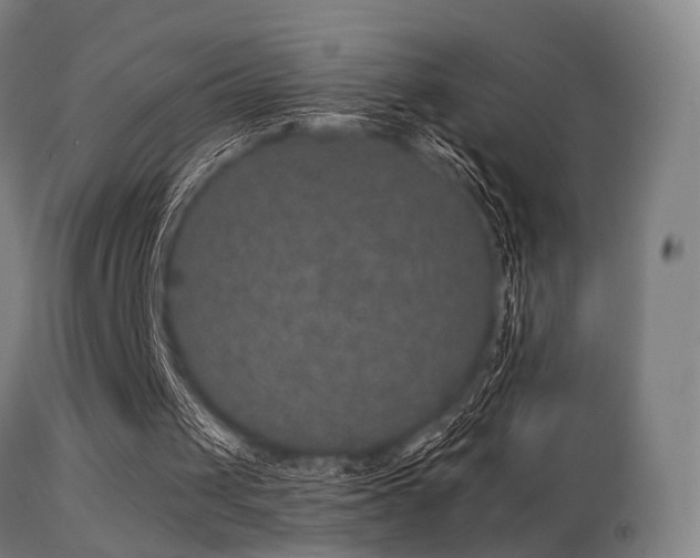 X0000113280049200909211049