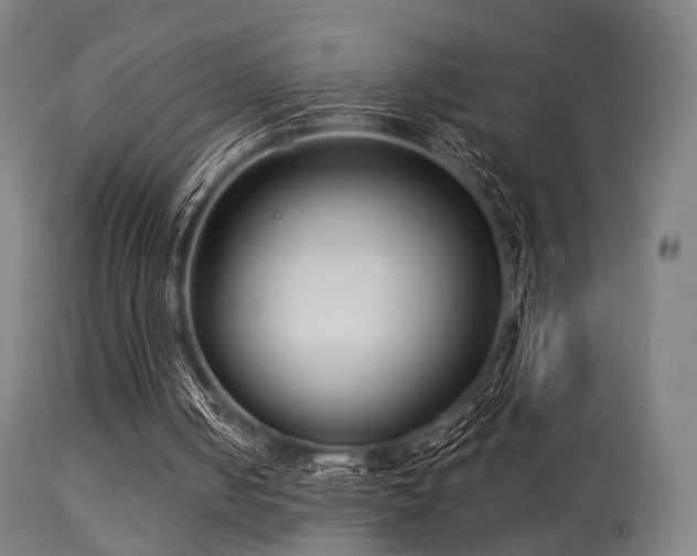 X0000113280050200909211049