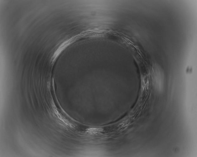 X0000113280051200909211049