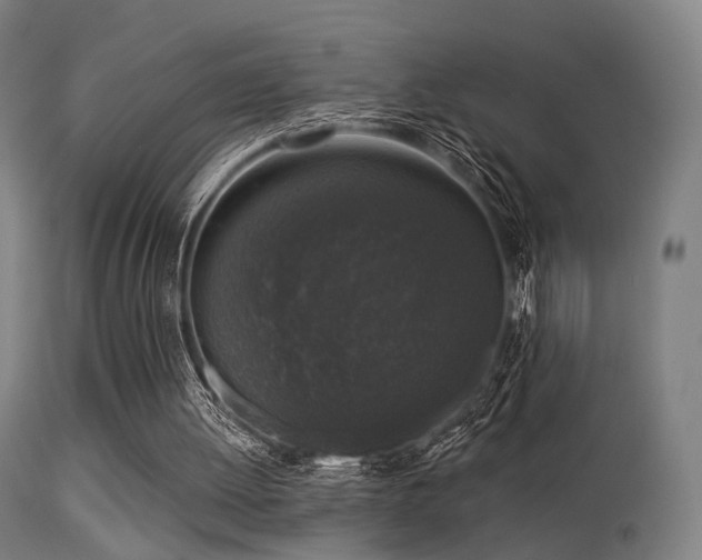 X0000113280052200909211049