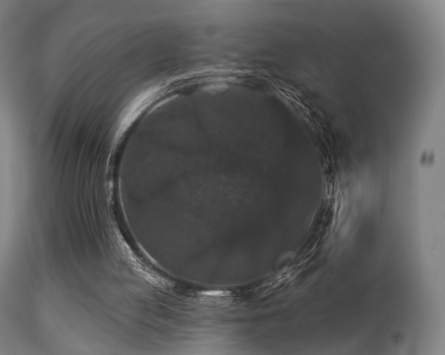 X0000113280053200909211049