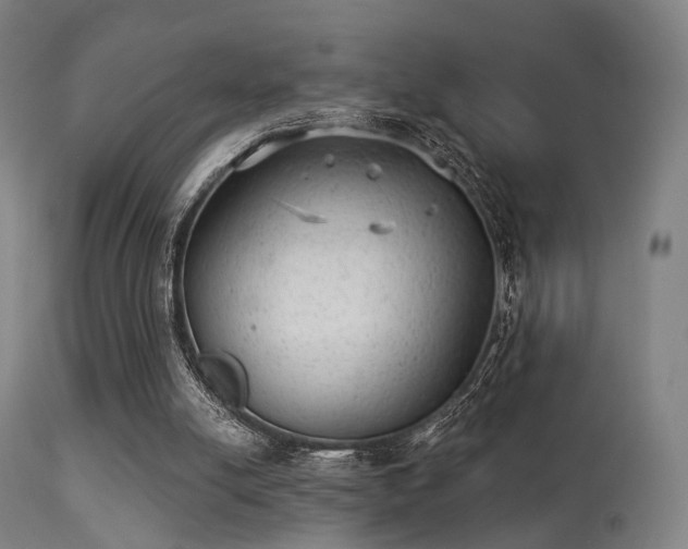 X0000113280054200909211049