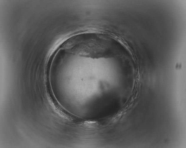 X0000113280055200909211049