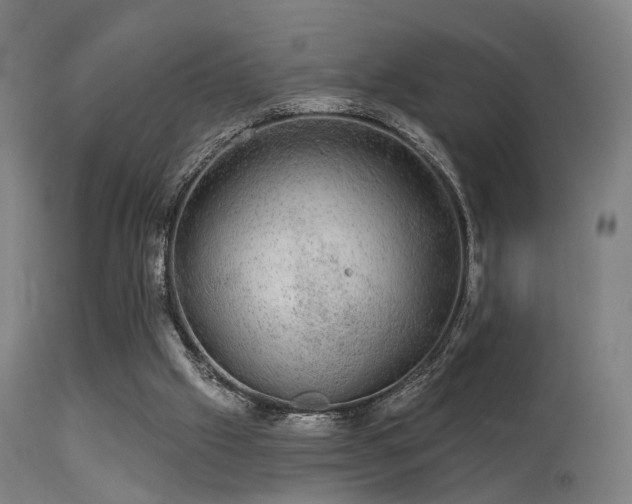 X0000113280057200909211049