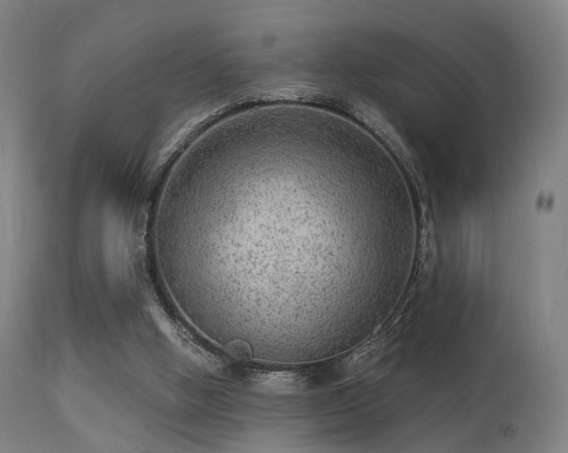 X0000113280058200909211049