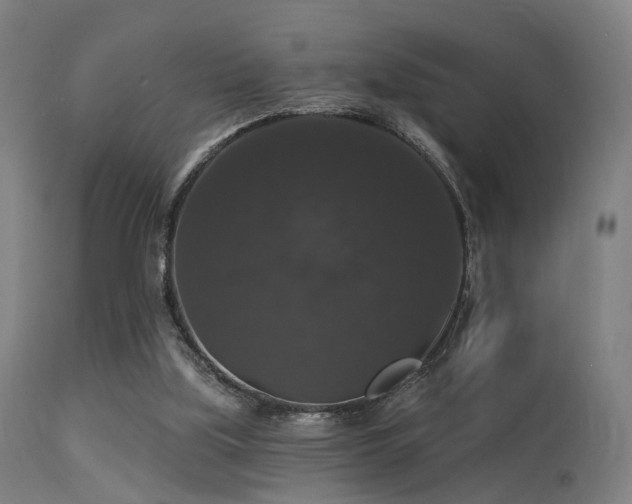 X0000113280059200909211049