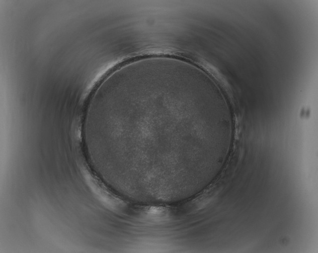 X0000113280060200909211049