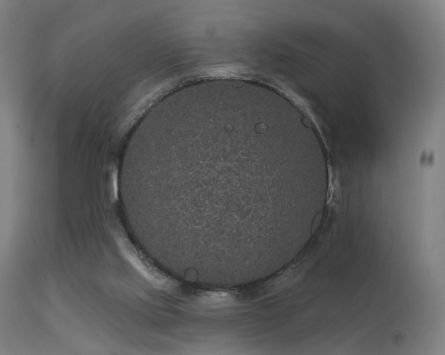 X0000113280061200909211049