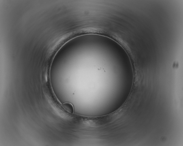 X0000113280062200909211049