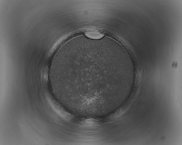 X0000113280064200909211049