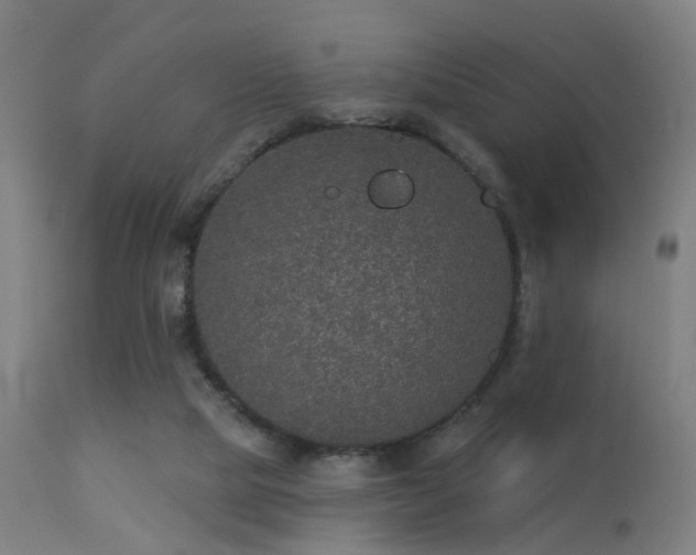 X0000113280065200909211049