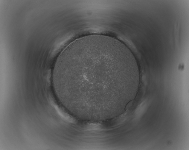 X0000113280066200909211049