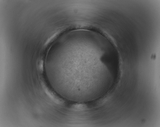 X0000113280067200909211049