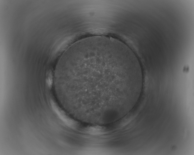 X0000113280069200909211049