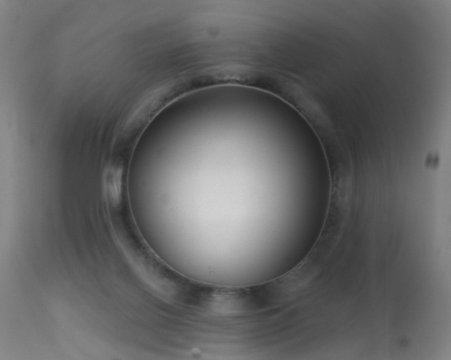 X0000113280070200909211049