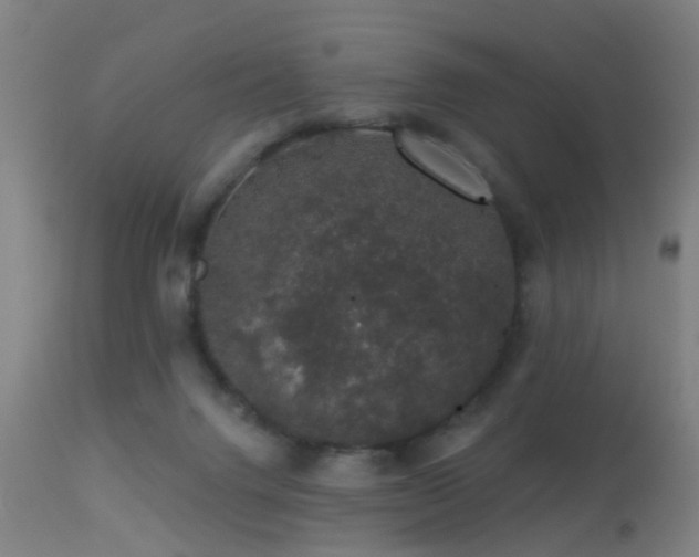 X0000113280072200909211049