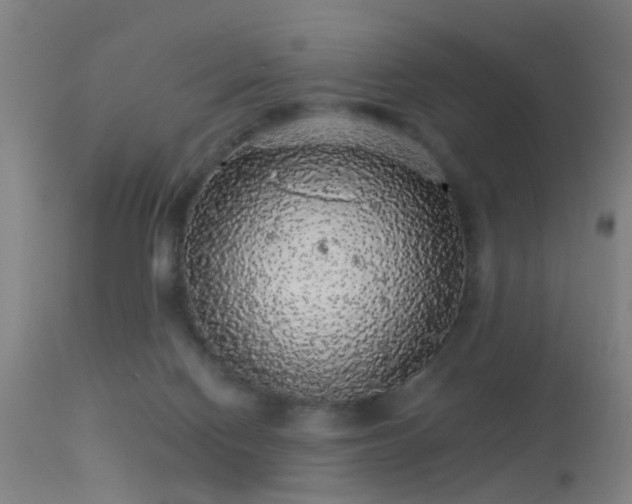 X0000113280074200909211050