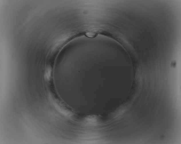 X0000113280076200909211050