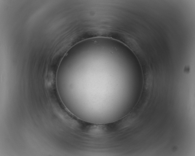 X0000113280077200909211050