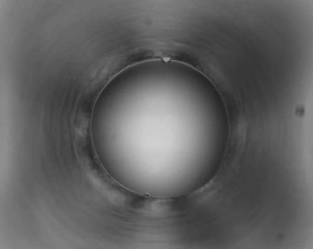 X0000113280078200909211050