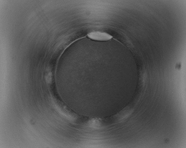 X0000113280080200909211050