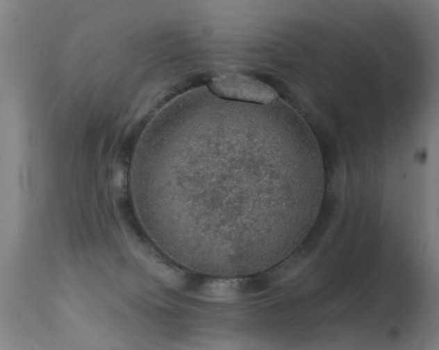 X0000113280084200909211050