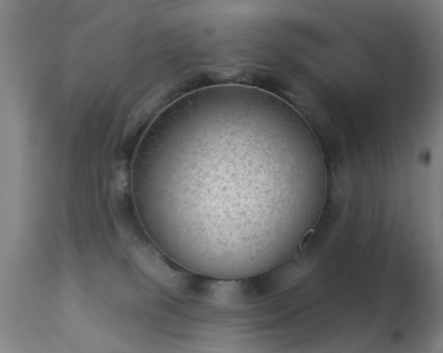 X0000113280085200909211050