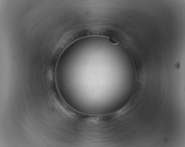 X0000113280086200909211050