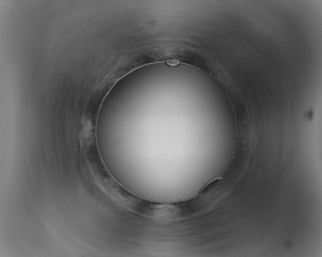 X0000113280087200909211050