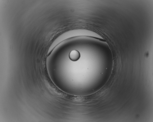 X0000113280088200909211050