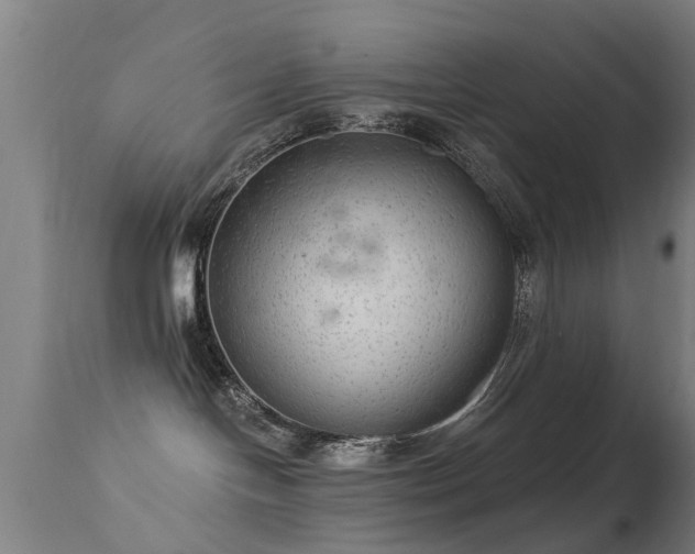 X0000113280094200909211050