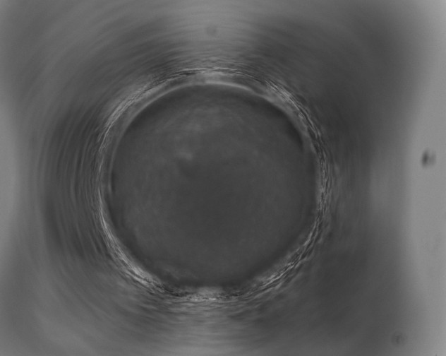 X0000113280097200909211049