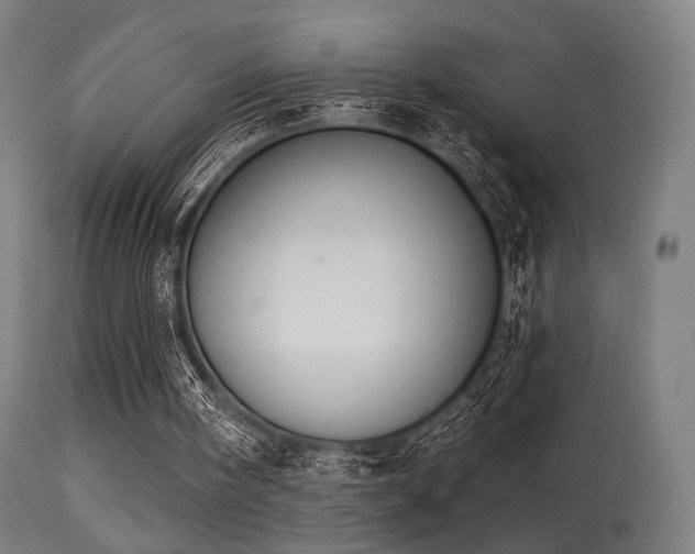 X0000113280098200909211049