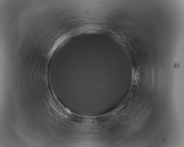 X0000113280099200909211049