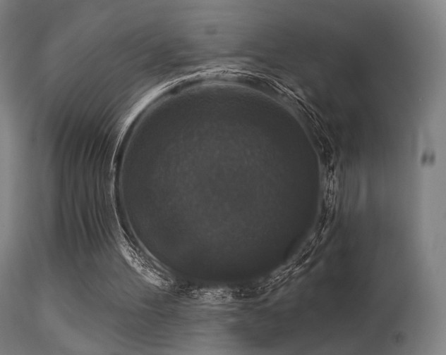 X0000113280100200909211049