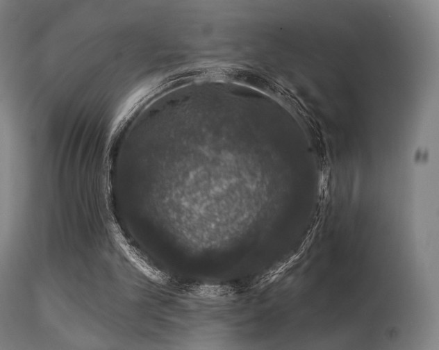 X0000113280101200909211049