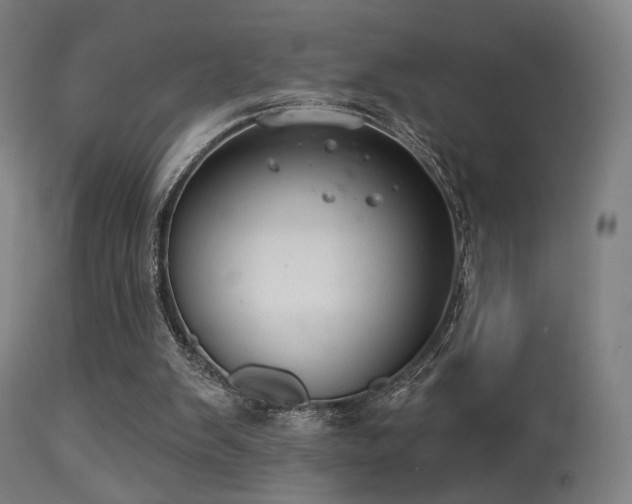 X0000113280103200909211049