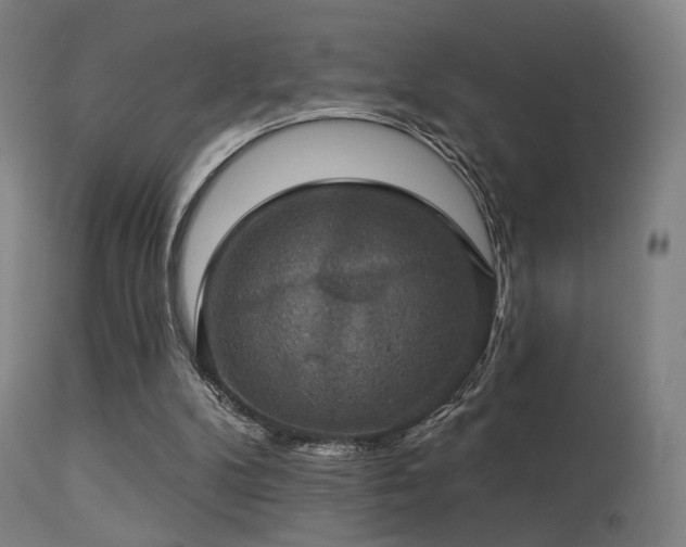 X0000113280104200909211049