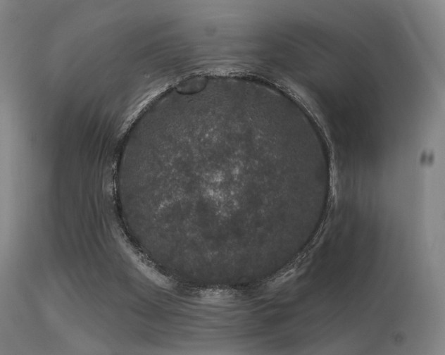 X0000113280105200909211049