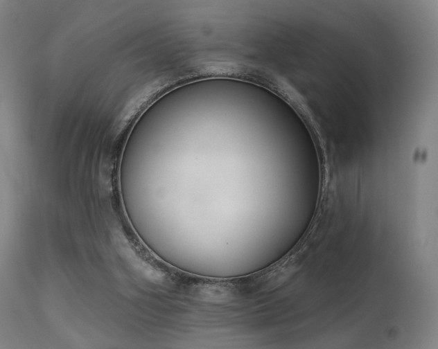 X0000113280106200909211049