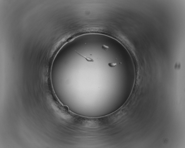 X0000113280107200909211049