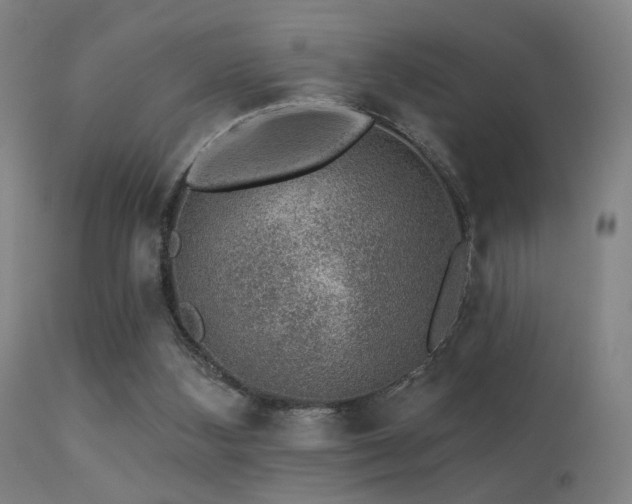 X0000113280108200909211049