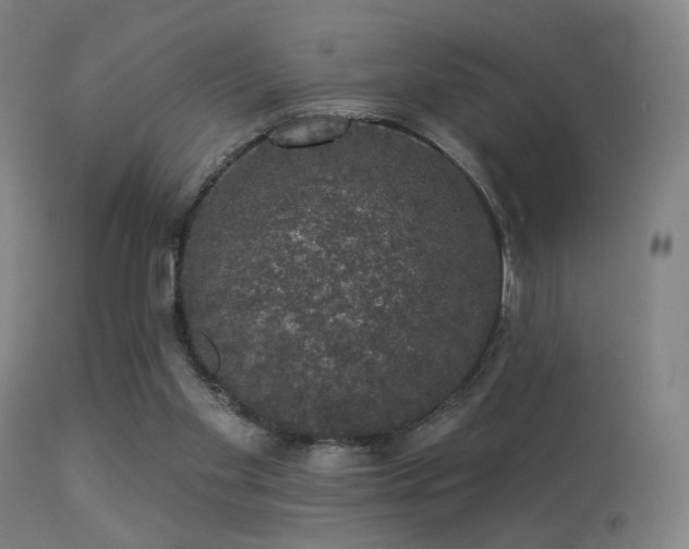 X0000113280109200909211049