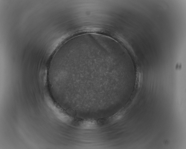 X0000113280110200909211049