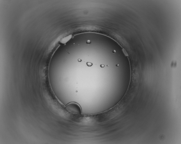 X0000113280111200909211049