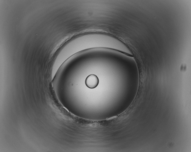 X0000113280112200909211049