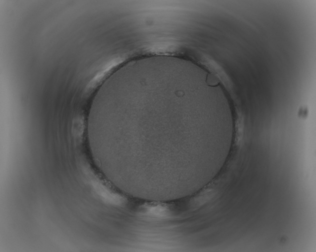 X0000113280113200909211049