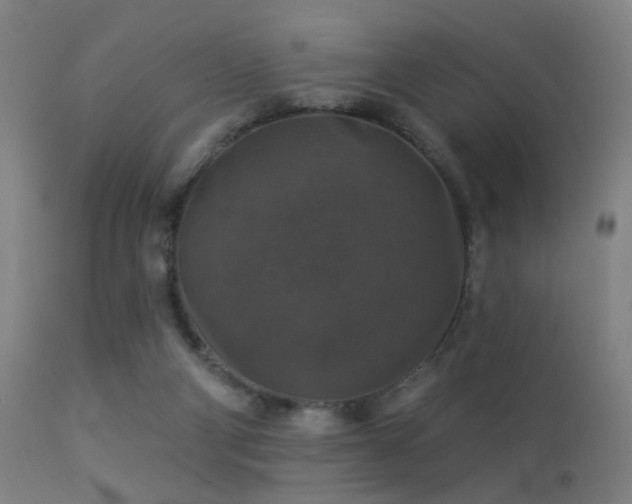 X0000113280114200909211049