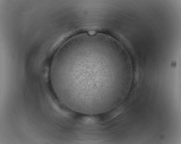 X0000113280115200909211049